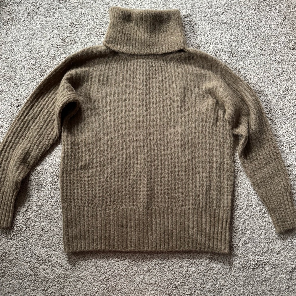 Everlane Alpaca oversized ribbed turtleneck